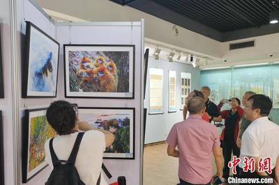 讓世界看見(jiàn)秦嶺 文化宣傳活動(dòng)優(yōu)秀作品展在西安啟幕